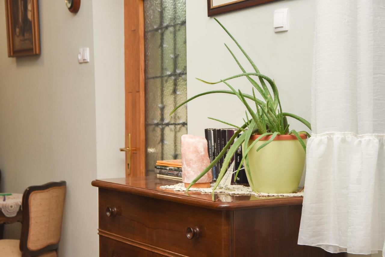 Apartman Woolf Senta 外观 照片